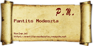 Pantits Modeszta névjegykártya